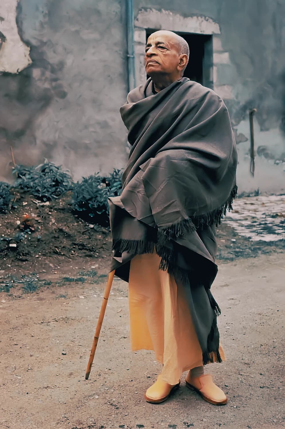 Srila Prabhupada standing outdoors with his cane, wrapped in a grey shawl over saffron robes
